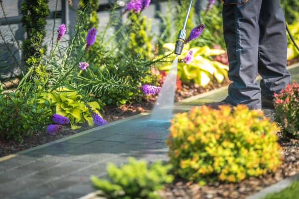 Professional  Pressure Washing Services in Hawkinsville, GA