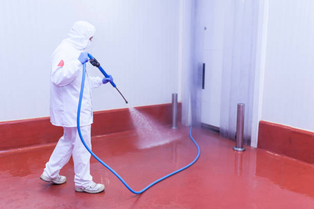 Spring Cleaning in Hawkinsville, GA